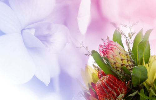 Funeral Arrangement Sydney