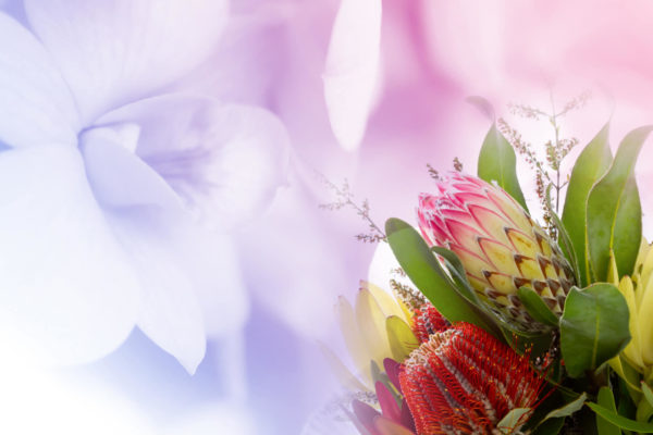 Funeral Arrangement Sydney
