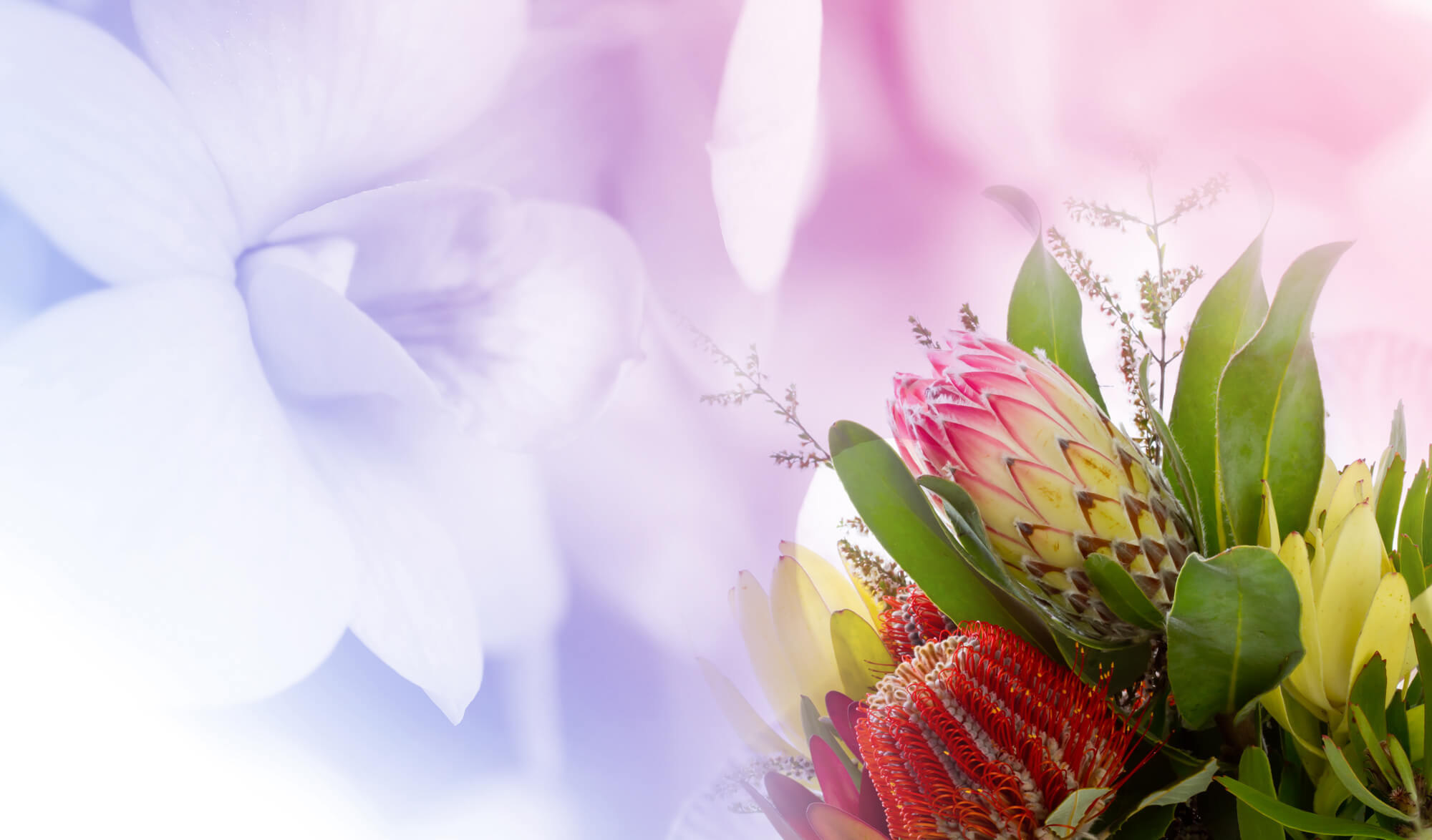 Funeral Arrangement Sydney