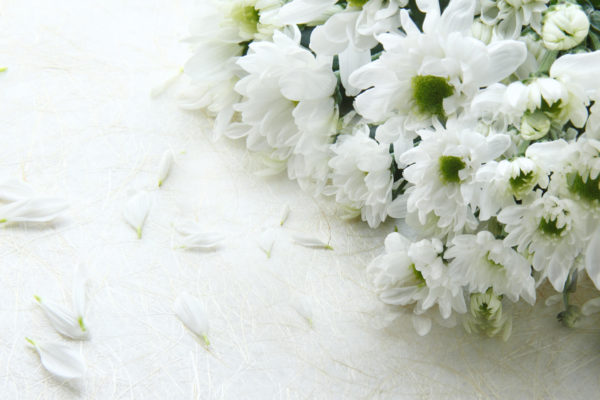 Cremation Services