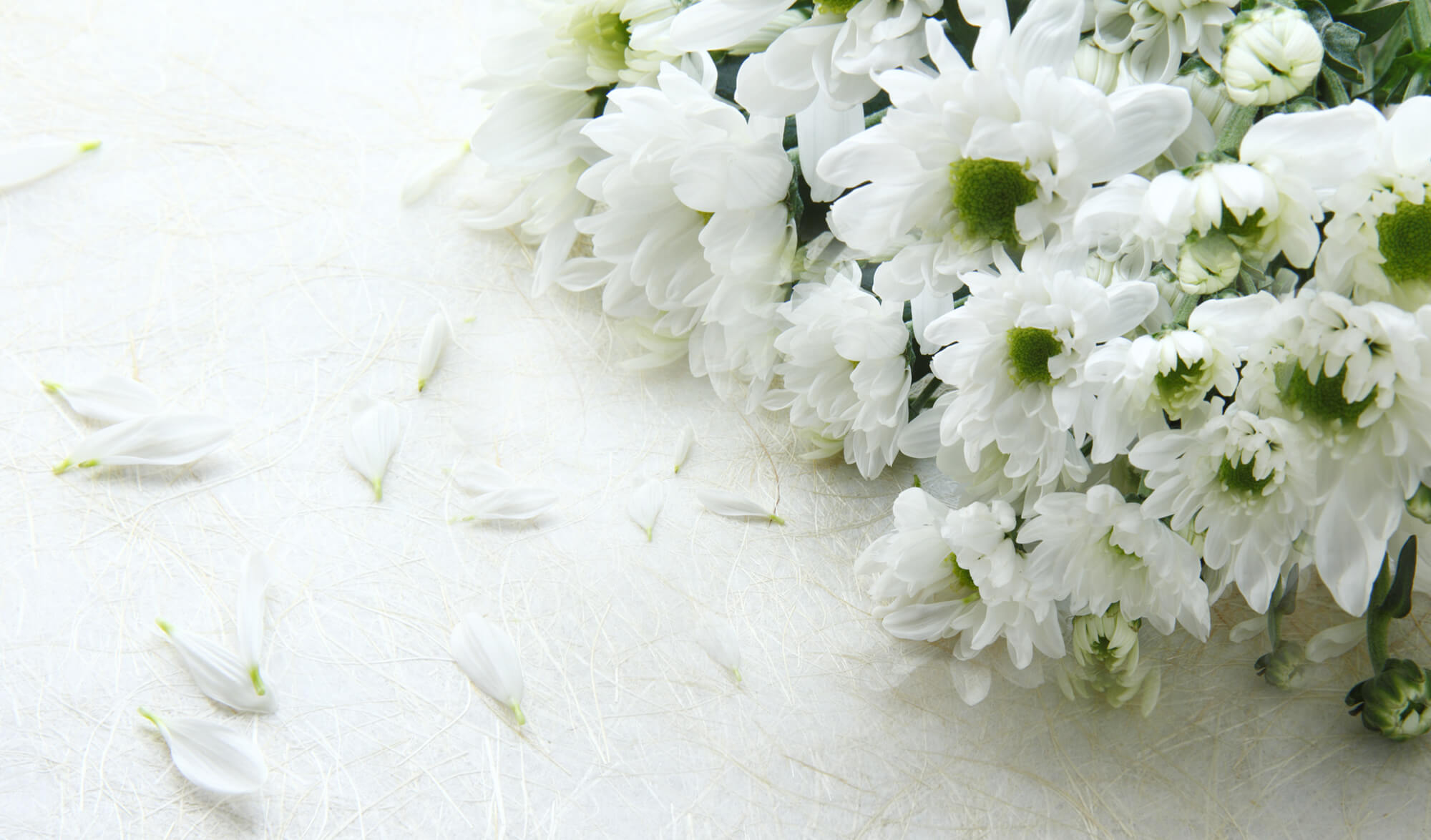 Cremation Services