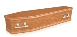 Standard Pine